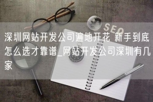 深圳网站开发公司遍地开花 新手到底怎么选才靠谱_网站开发公司深圳有几家
